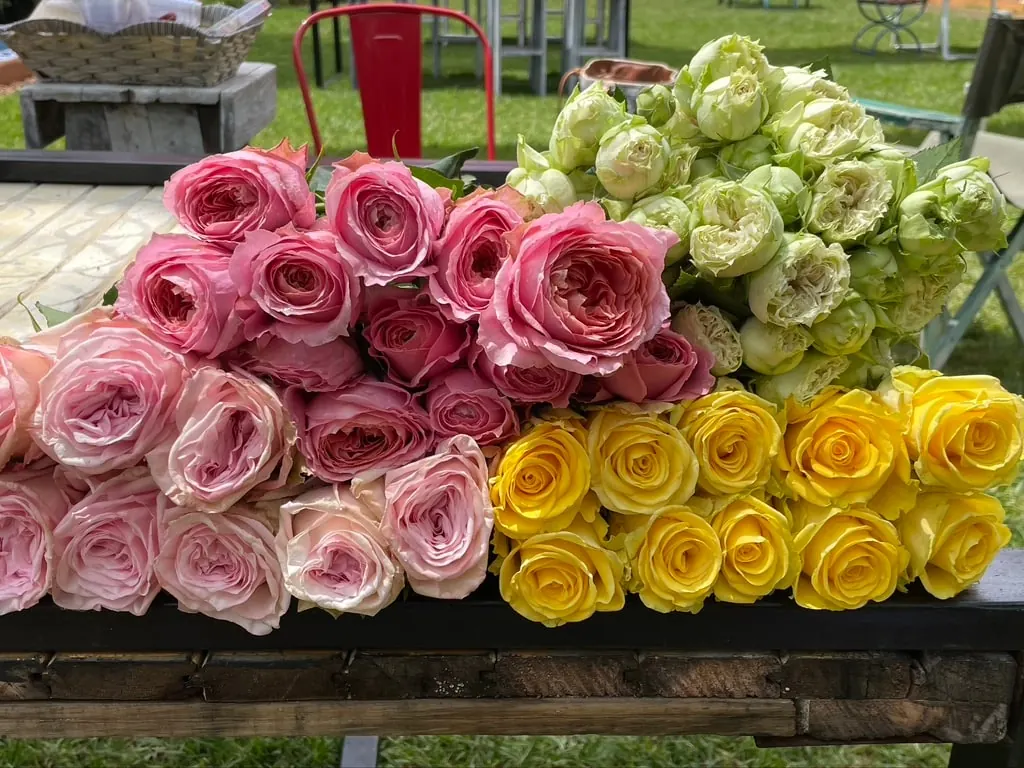 Unmixed Flowers