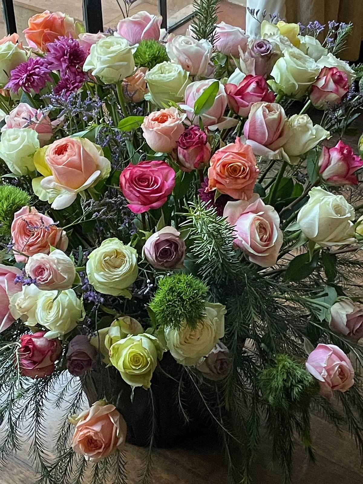 Export-grade stems, grown locally